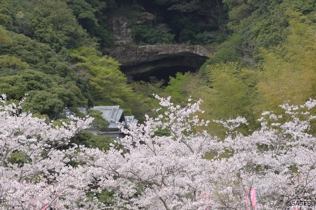 御橋観音春まつり［3⽉下旬～4月上旬］