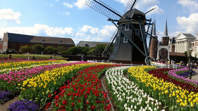 佐世保市の3月の花の見頃