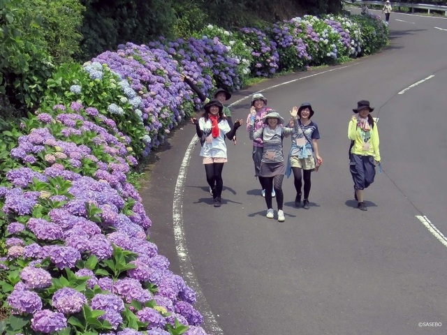 佐世保市の6月の花の見頃